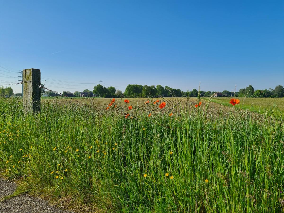 Voorst  Tiny House In De Achterhoek 빌라 외부 사진